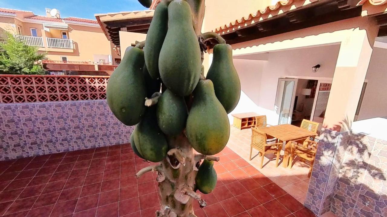 La Casa De La Papaya, By Comfortable Luxury Corralejo Kültér fotó